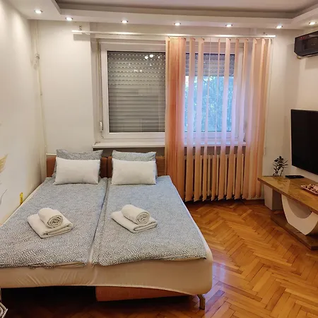 Dunja Novi Sad